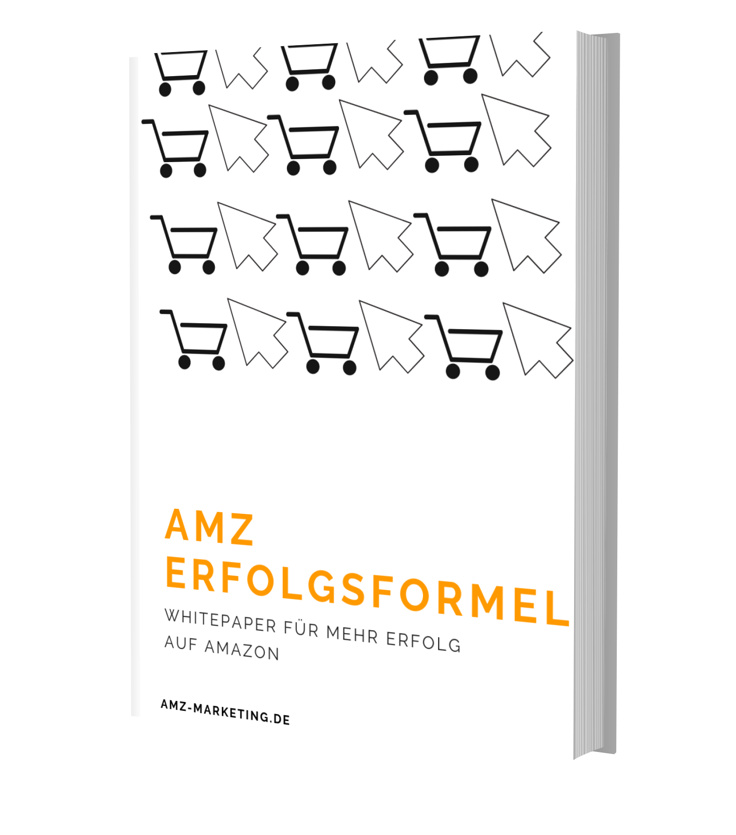 AMZ Marketing Whitepaper download AMZ Erfolgsformel